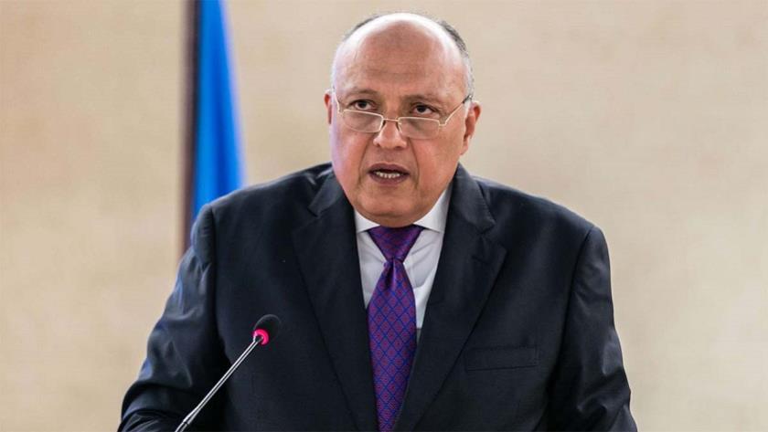 Iranpress: Egyptian foreign minister arrives in Moscow for talks with Russian leadership