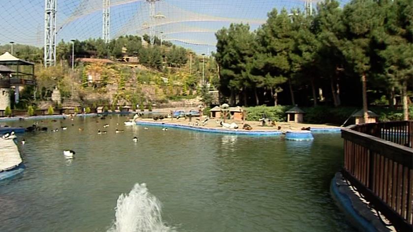 Iranpress: Tehran Bird Garden, heaven in Iran
