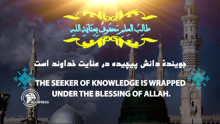 Iranpress: Prophet Muhammad emphasized learning nearly 1500 years ago