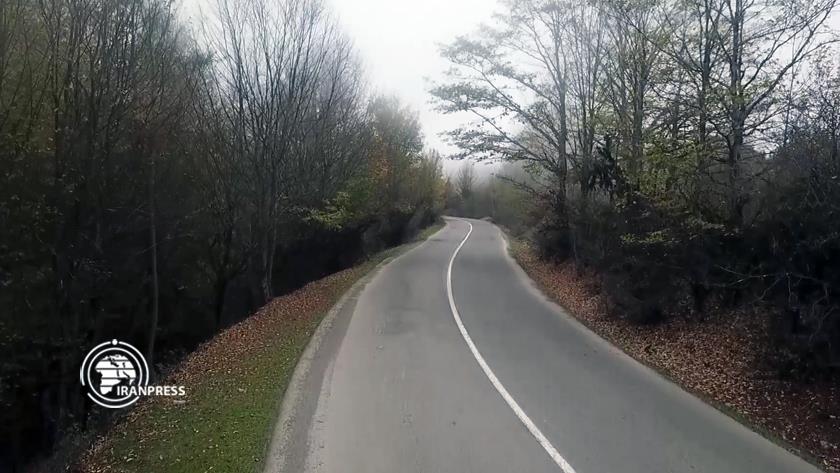 Iranpress: Royan forest route to Kodir; dreamy, eye-catching in autumn