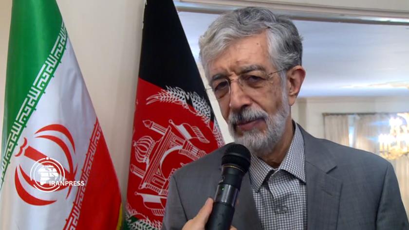 Iranpress: Official: Standing firm, principled way to fight terrorism