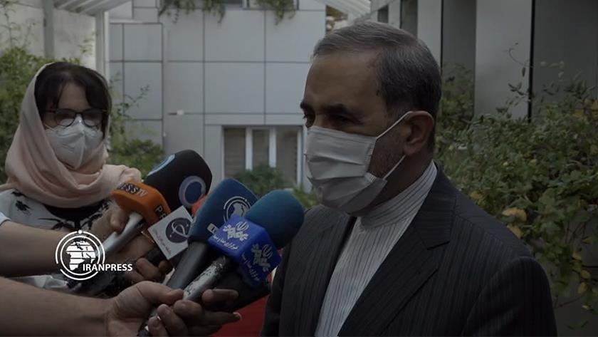 Iranpress: Velayati: Afghanistan
