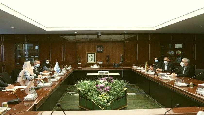 Iranpress: Energy Min. emphasizes on Iran, Afghan economic cooperation as key to regional security