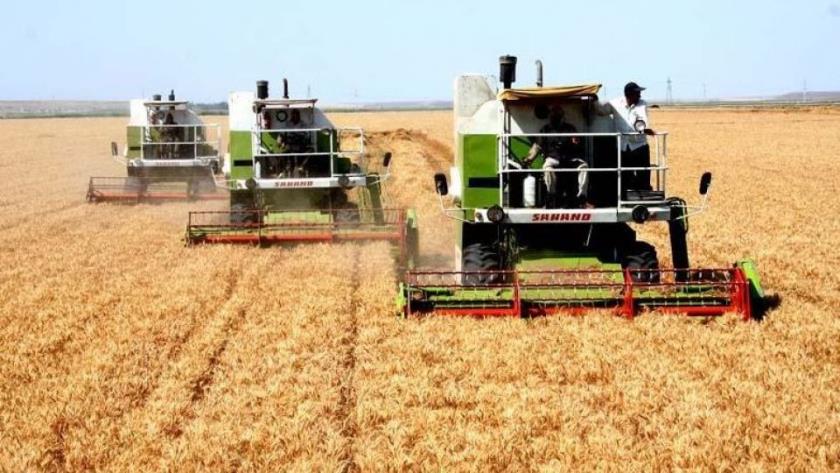 Iranpress: Export of Iranian agricultural products increased
