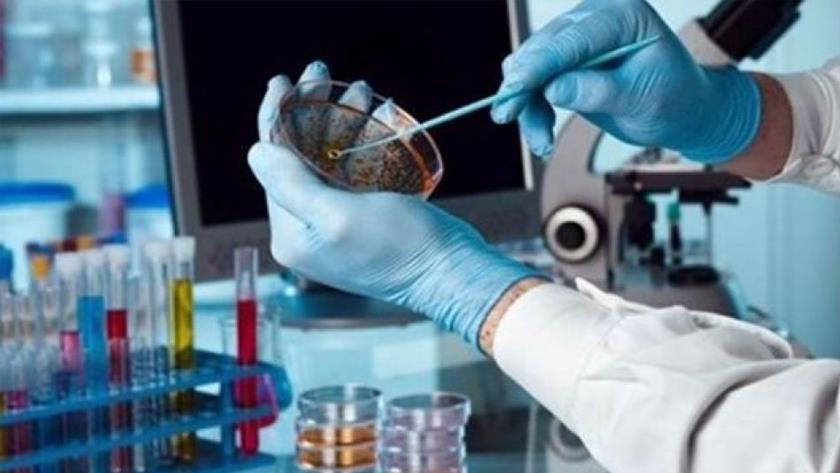 Iranpress: Iran produces first COVID-19 rapid test kits: Health Ministry spox