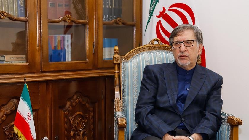 Iranpress: Canada seeks to politicize investigation of Ukrainian plane crash, Iranian FM deputy says