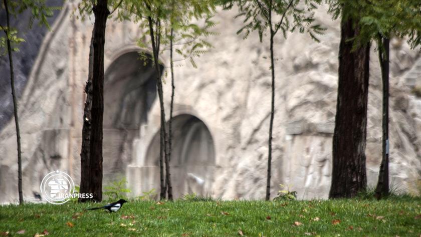 Iranpress:  Autumn adds to beauties of Iran