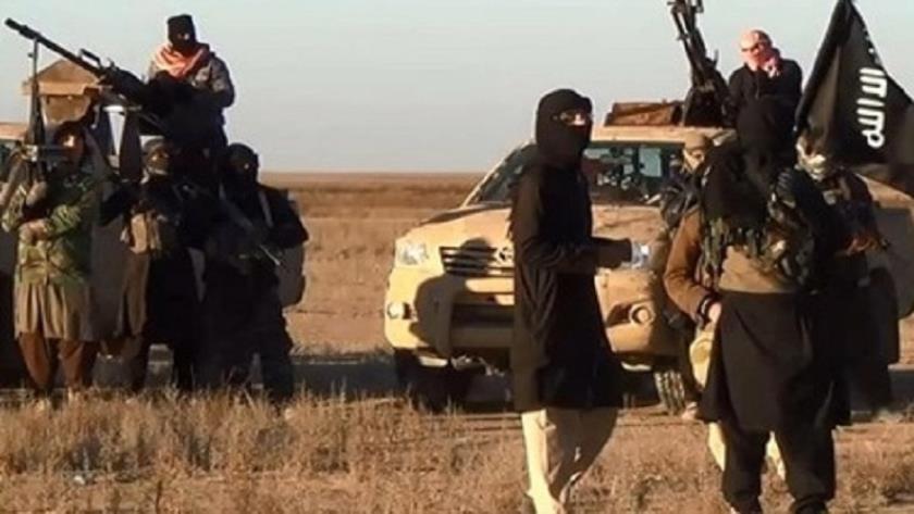 Iranpress: Iraqi Def. Min: There are about 2,000 ISIL members in country