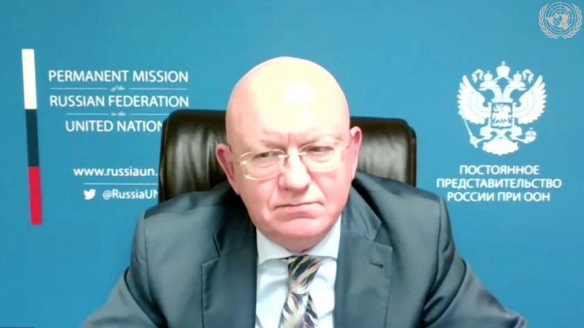 Iranpress: West spends huge money to overthrow Syria: Russian envoy to UN