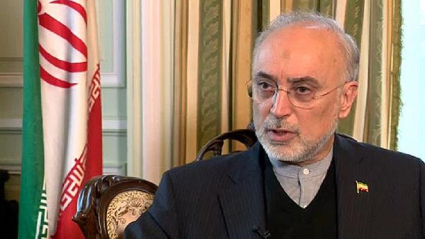 Iranpress: Blood of Martyr Fakhrizadeh will strengthen Iran: AEOI chief