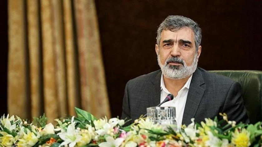 Iranpress: Changing access of IAEA inspectors requires highest levels decision-making