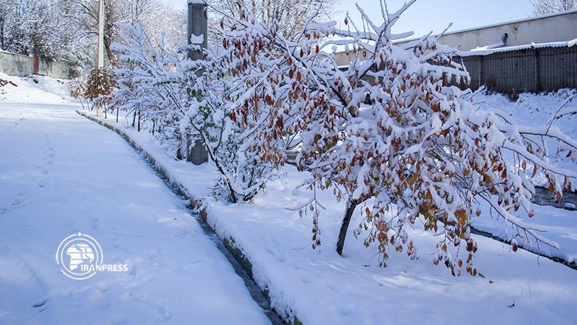 Iranpress: 1st autumn snowfall, beauty of Iran