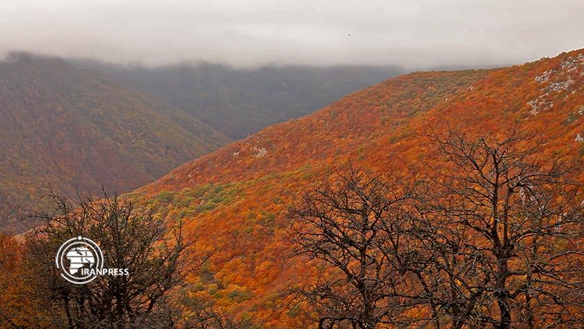 Iranpress: A tour among clouds