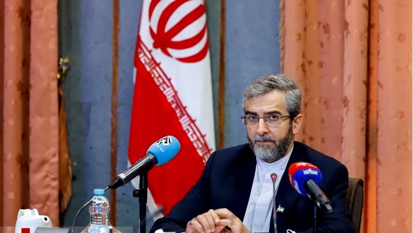 Iranpress: Fakhrizadeh assassination can be raised at int