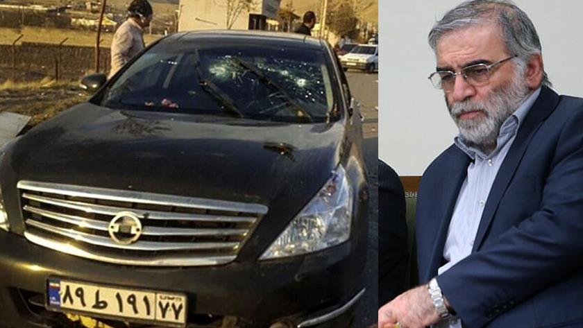 Iranpress: Iran Press evidence exposes Israel, MKO involvement in assassination of Iranian nuclear scientist