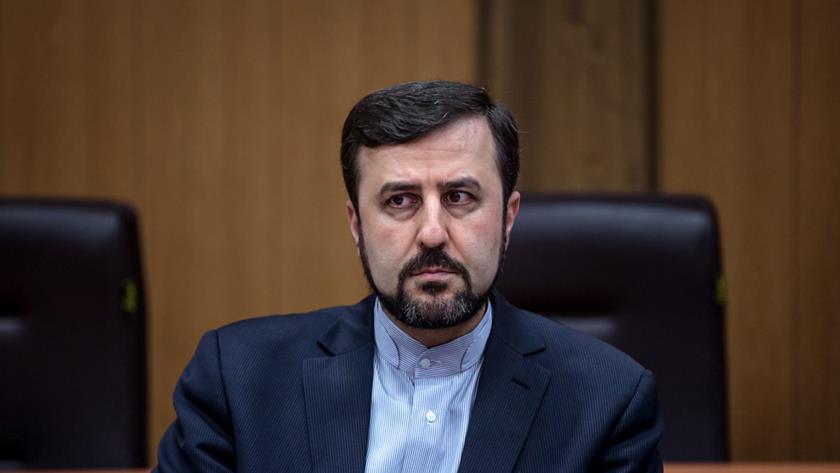 Iranpress: Iran criticizes new UN CND