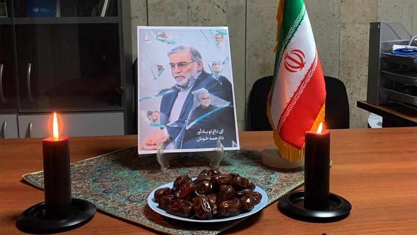 Iranpress: Iranian students in Moscow vow to keep Martyr Fakhrizadeh