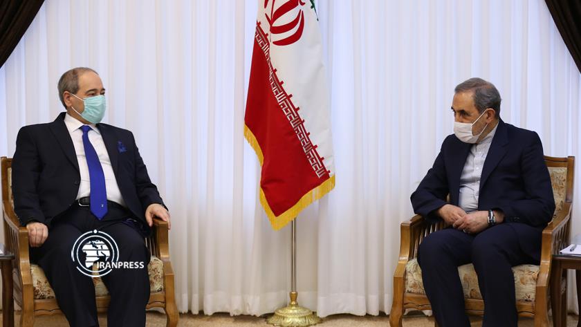 Iranpress: Resistance of Syrian people thwarts conspiracies: Leader’s advisor