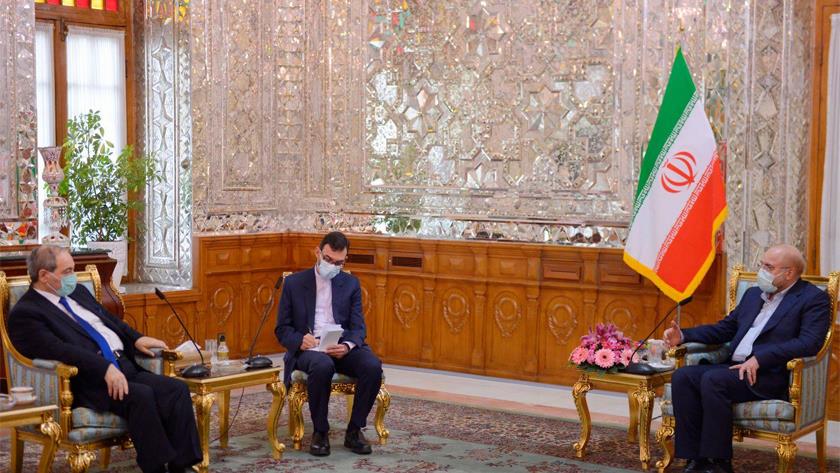 Iranpress: Syrian FM meets Iranian Parliament Speaker