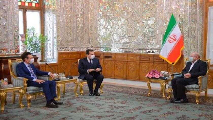 Iranpress: EU interference in Iran