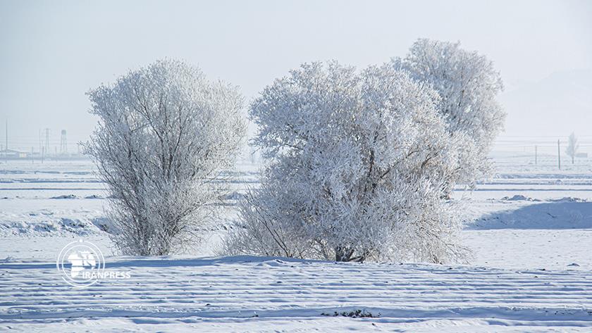 Iranpress: Scenic beauties of autumn snowfall, in Iran