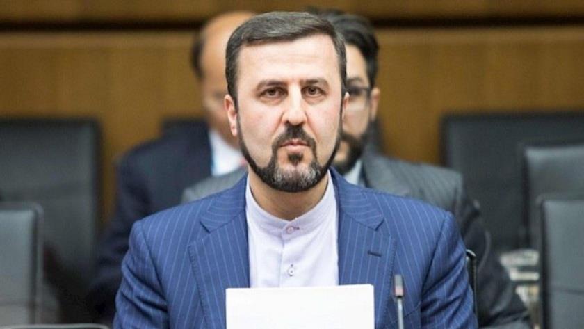 Iranpress: IAEA only allowed to monitor and verify Iran