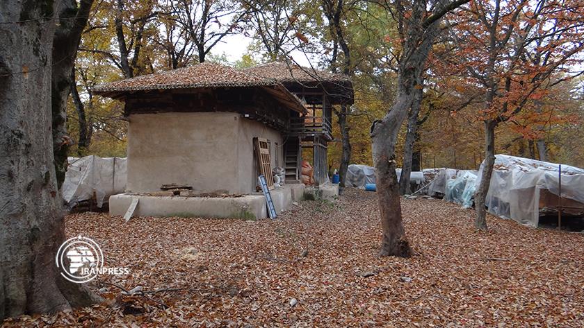 Iranpress: Images of ancient objects discovered in Gorgan