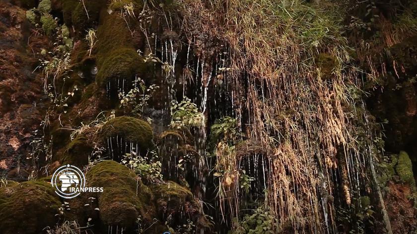 Iranpress: See unique Zanous waterfall in northern Iran