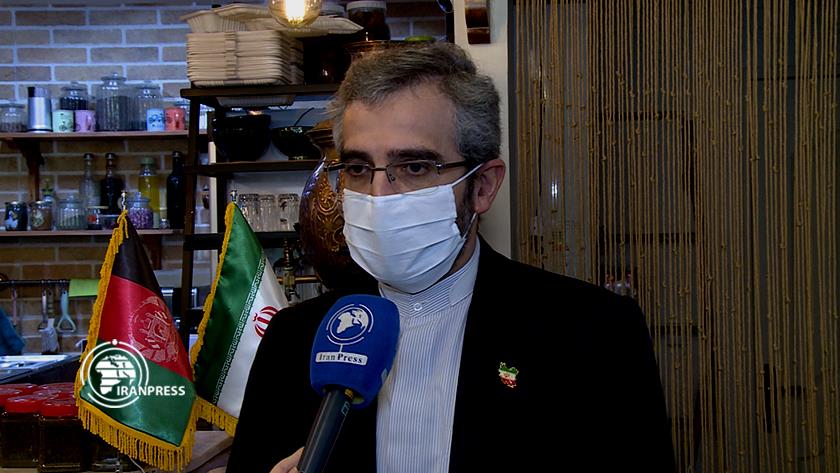 Iranpress: Iran creates best conditions for Afghan nationals: Official 