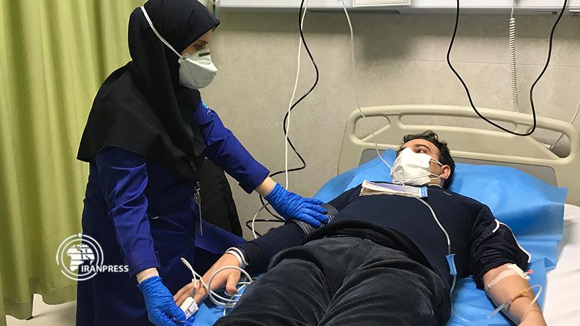 Iranpress: Nurses compassionate companions of physicians, patients