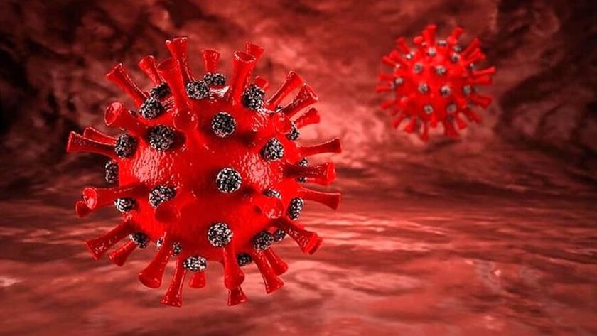 Iranpress: Health protocol obesrevance, key to fight against unknown British COVID-19