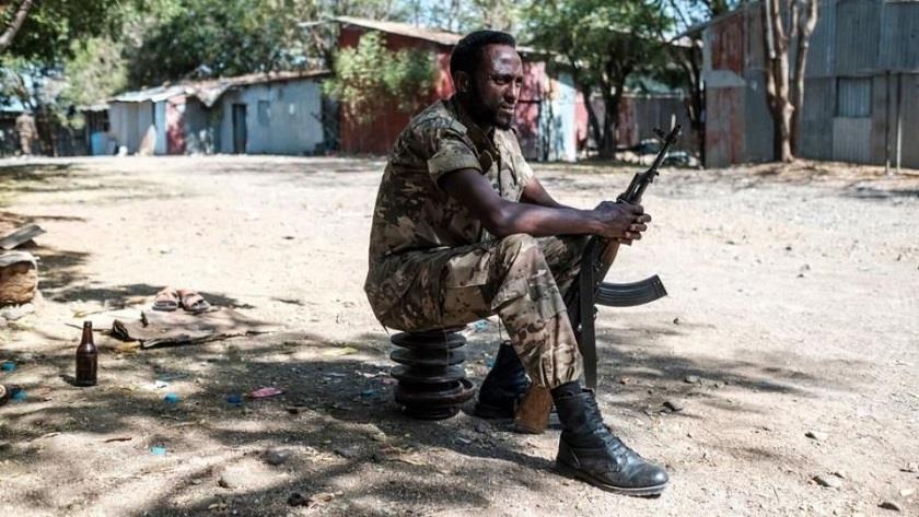Iranpress: Ethiopia: over 100 people killed in armed attack