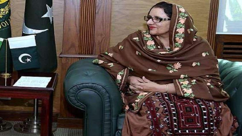 Iranpress: Pakistani defence official slams US unilateral sanctions against Iran