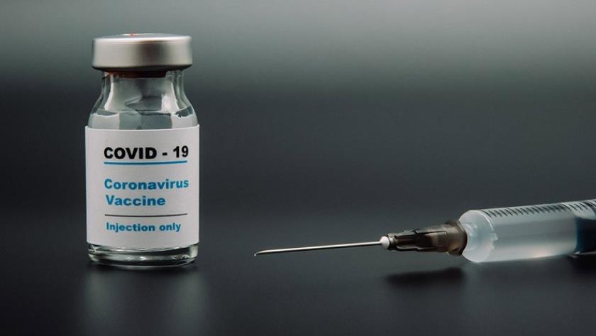 Iranpress: COVID-19 vaccine to enter human phase by late Feb.: Official