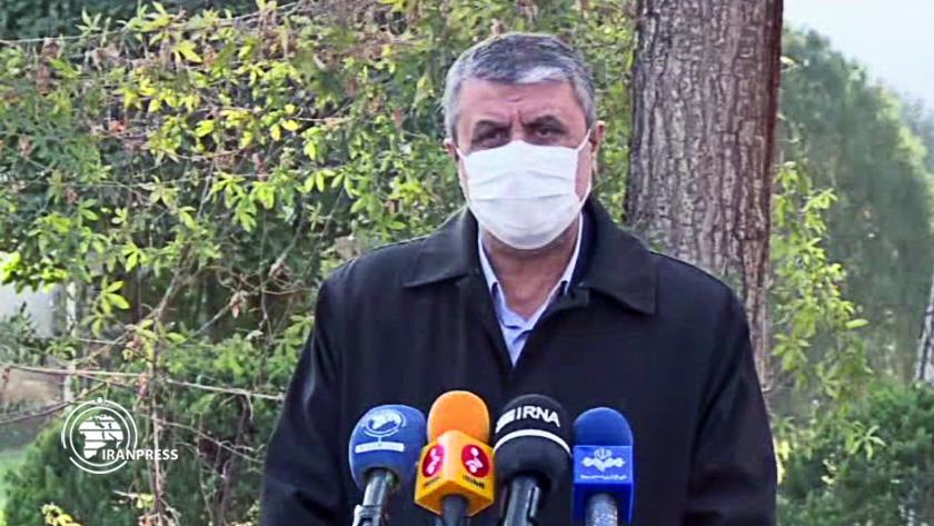 Iranpress: Ukrainian plane crash investigations thoroughly done