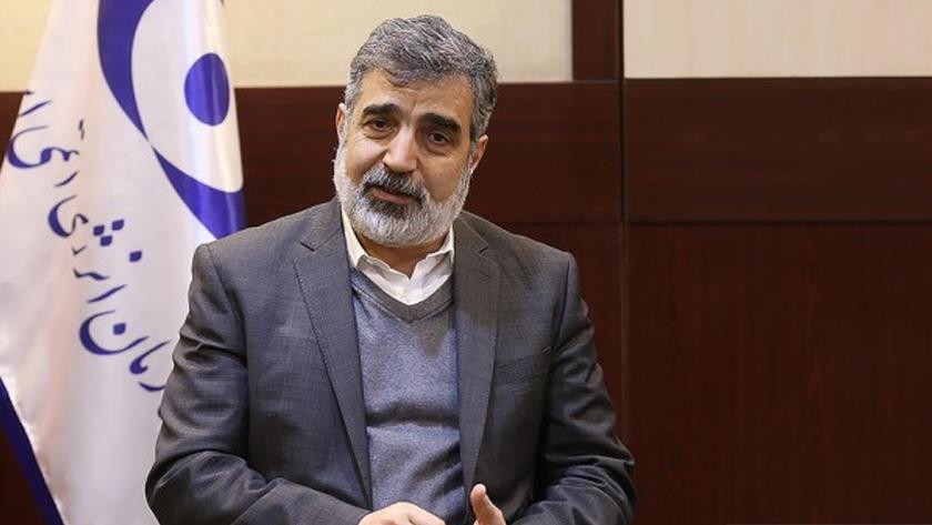Iranpress: Iran can easily enrich uranium to 90%: AEOI spox