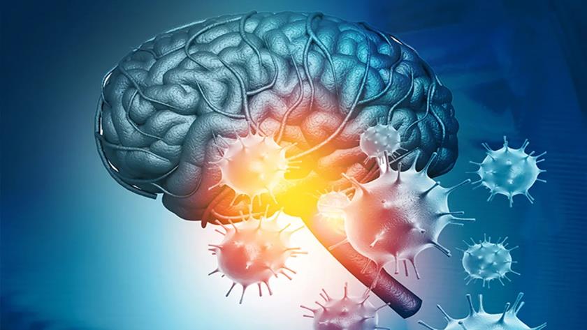 Iranpress: Coronavirus: Does the pandemic changing our brains?
