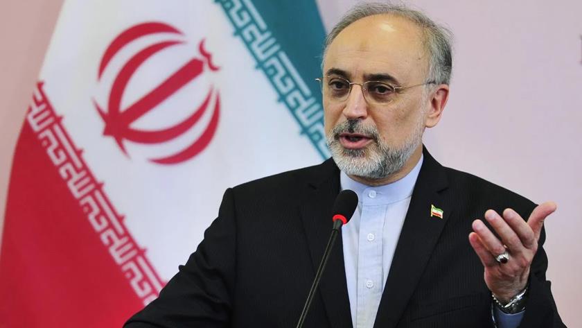 Iranpress: West