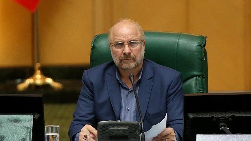 Iranpress: Speaker: Budget most influential government document