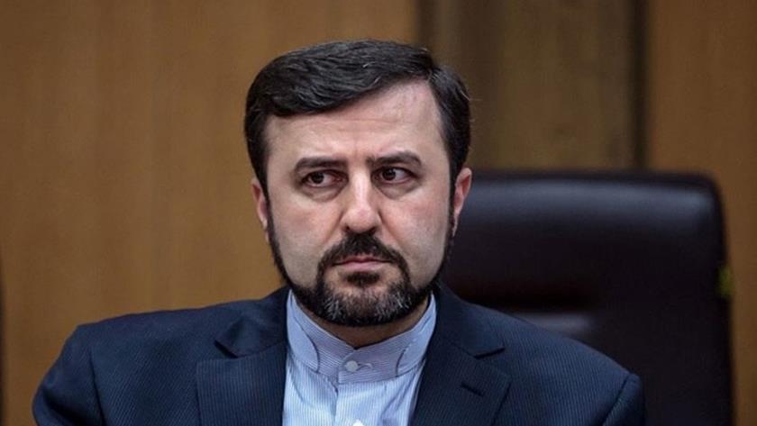Iranpress: Cooperation is NOT a one-way boulevard: Envoy to Vienna