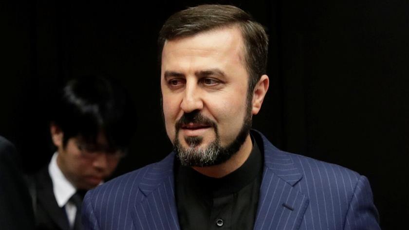 Iranpress: Envoy: Iran world
