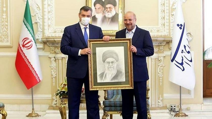 Iranpress: Speaker of Russian Duma: I will convey Ayatollah Khamenei