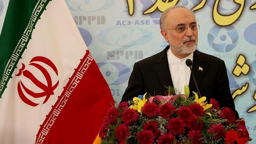Iranpress: AEOI Chief: Iran to unveil 50 nuclear projects