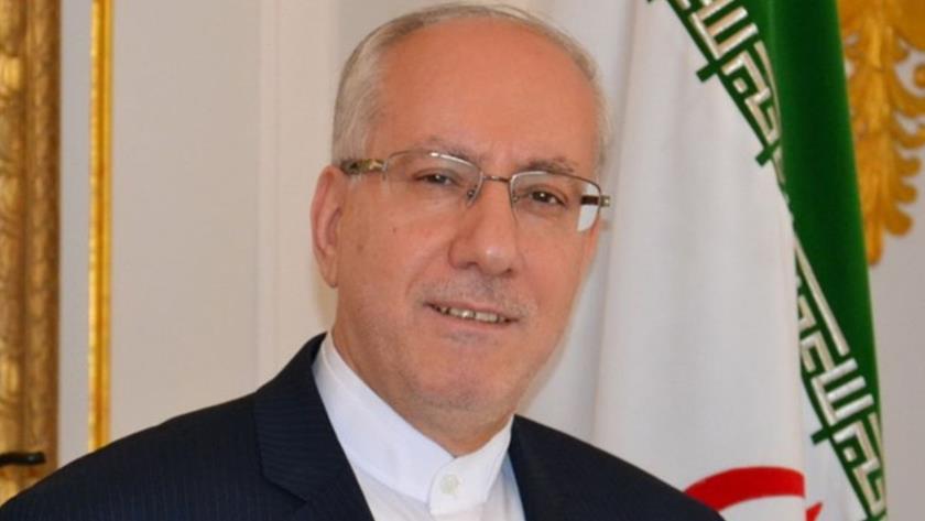 Iranpress: Iran at forefront of fight against terrorism: Envoy