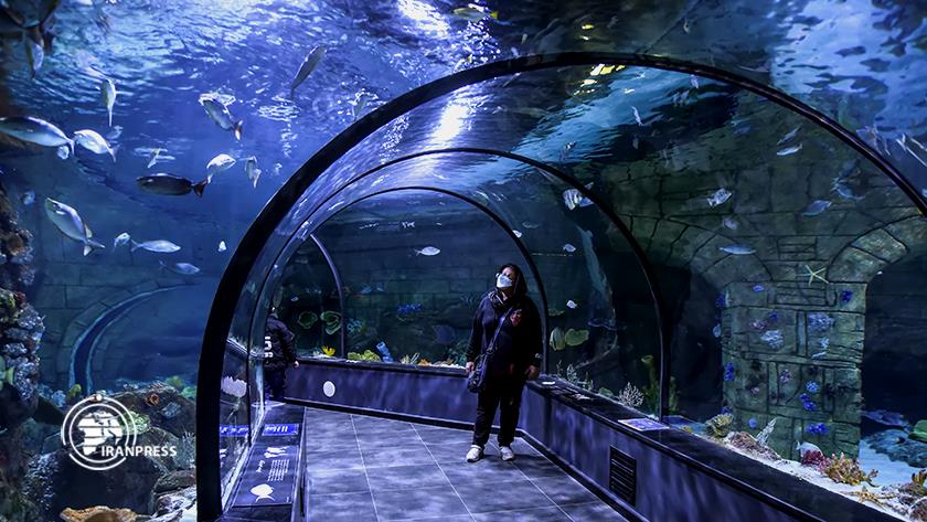 Iranpress: Walking through an underground wonderland