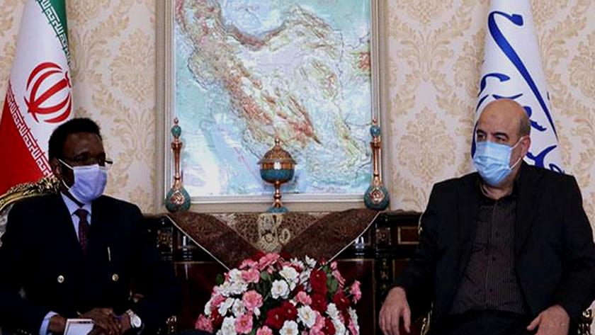 Iranpress: Iran-Zimbabwe parliamentary cooperation expanding