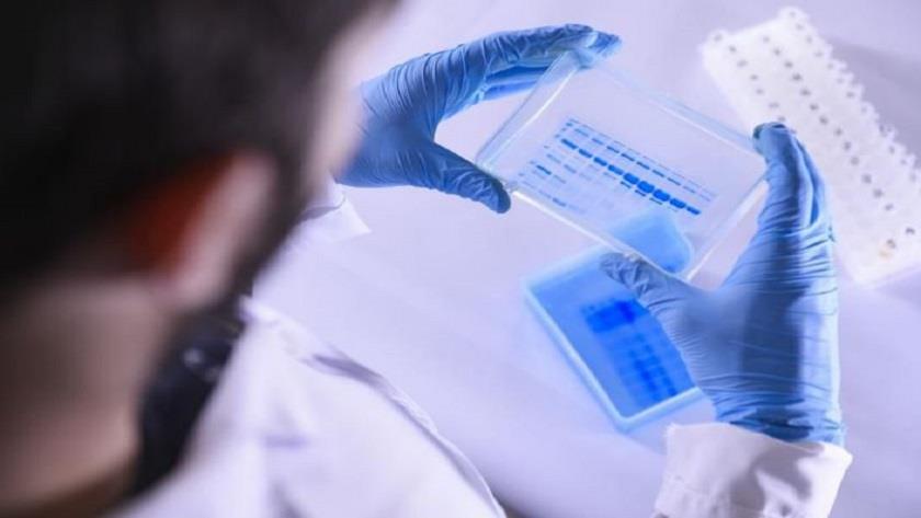 Iranpress: 7 new variants of coronavirus are found in US