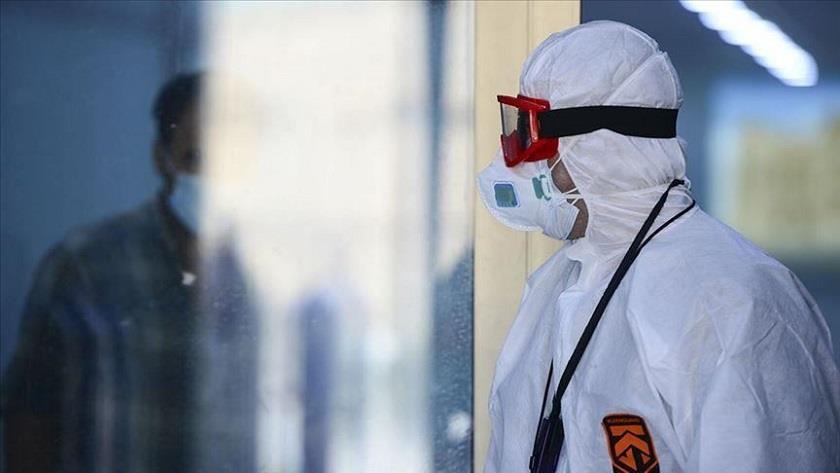 Iranpress: Iraq enters worst phase of Coronavirus pandemic