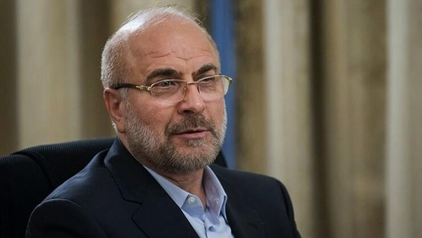 Iranpress: Cooperation with IAEA beyond safeguard requires parliamentary decision: Speaker