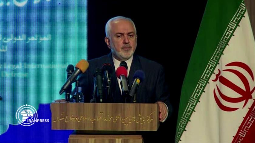 Iranpress: International organizations have failed to defend human rights: Zarif